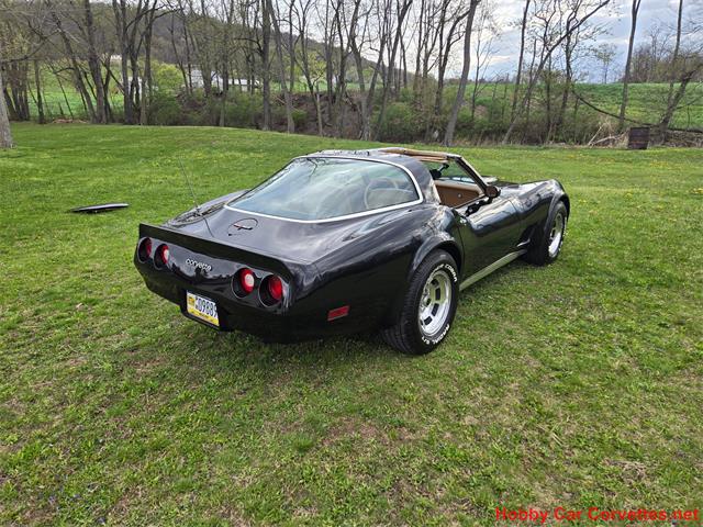 1981 Chevrolet Corvette (CC-2066476) for sale in MARTINSBURG, Pennsylvania
