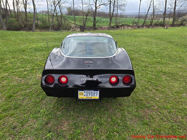 1981 Chevrolet Corvette (CC-2066476) for sale in MARTINSBURG, Pennsylvania