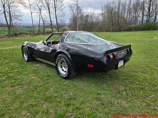 1981 Chevrolet Corvette (CC-2066476) for sale in MARTINSBURG, Pennsylvania