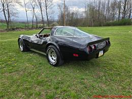 1981 Chevrolet Corvette (CC-2066476) for sale in MARTINSBURG, Pennsylvania