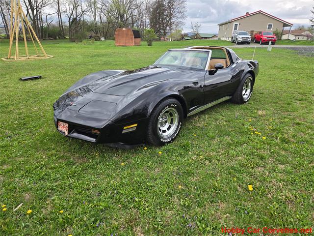 1981 Chevrolet Corvette (CC-2066476) for sale in MARTINSBURG, Pennsylvania