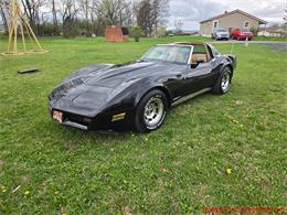 1981 Chevrolet Corvette (CC-2066476) for sale in MARTINSBURG, Pennsylvania