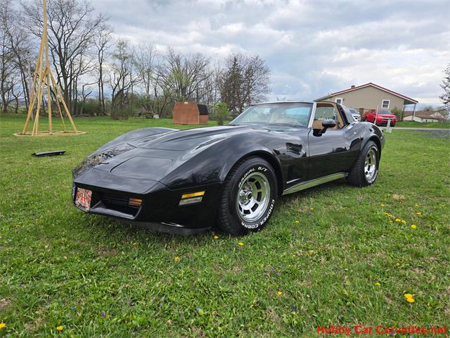 1981 Chevrolet Corvette (CC-2066476) for sale in MARTINSBURG, Pennsylvania
