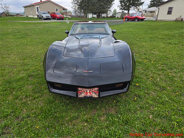 1981 Chevrolet Corvette (CC-2066476) for sale in MARTINSBURG, Pennsylvania