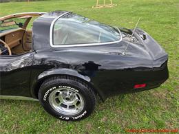 1981 Chevrolet Corvette (CC-2066476) for sale in MARTINSBURG, Pennsylvania