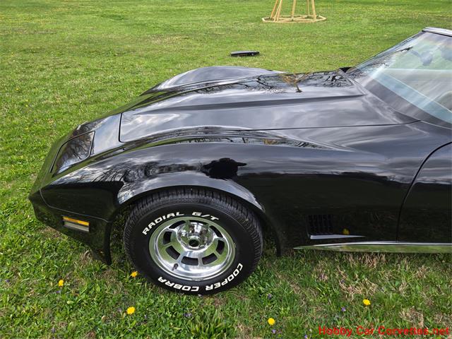 1981 Chevrolet Corvette (CC-2066476) for sale in MARTINSBURG, Pennsylvania