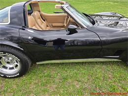 1981 Chevrolet Corvette (CC-2066476) for sale in MARTINSBURG, Pennsylvania