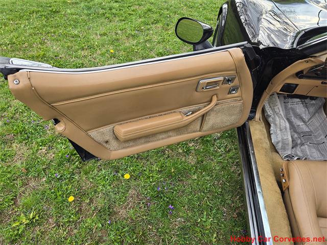 1981 Chevrolet Corvette (CC-2066476) for sale in MARTINSBURG, Pennsylvania