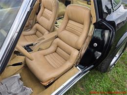 1981 Chevrolet Corvette (CC-2066476) for sale in MARTINSBURG, Pennsylvania