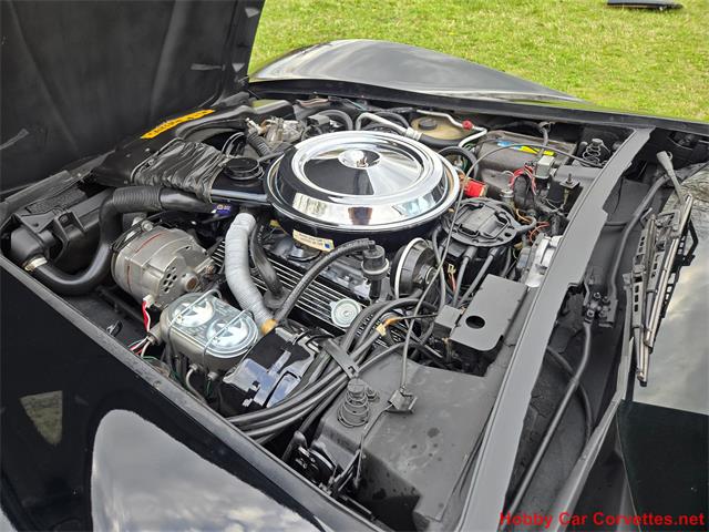 1981 Chevrolet Corvette (CC-2066476) for sale in MARTINSBURG, Pennsylvania