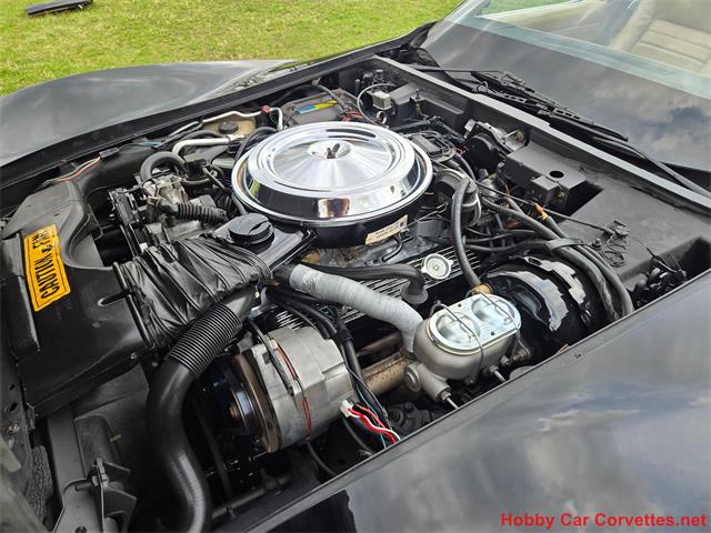 1981 Chevrolet Corvette (CC-2066476) for sale in MARTINSBURG, Pennsylvania