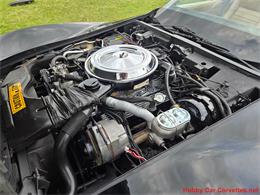 1981 Chevrolet Corvette (CC-2066476) for sale in MARTINSBURG, Pennsylvania