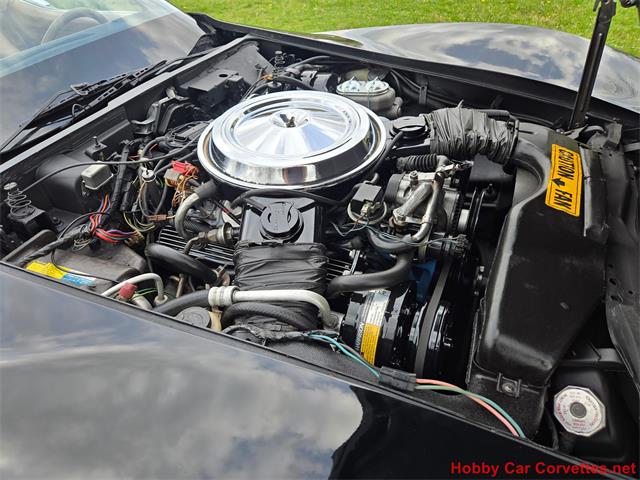 1981 Chevrolet Corvette (CC-2066476) for sale in MARTINSBURG, Pennsylvania