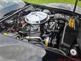 1981 Chevrolet Corvette (CC-2066476) for sale in MARTINSBURG, Pennsylvania