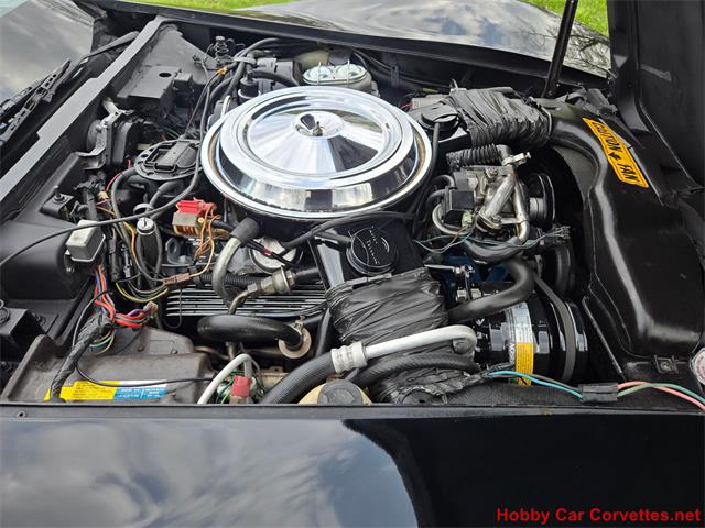 1981 Chevrolet Corvette (CC-2066476) for sale in MARTINSBURG, Pennsylvania