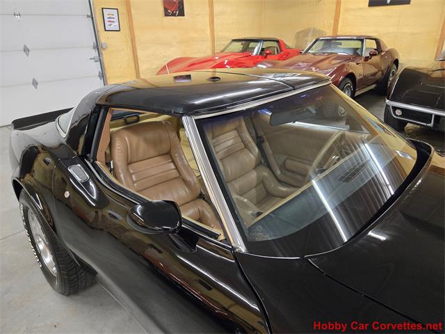 1981 Chevrolet Corvette (CC-2066476) for sale in MARTINSBURG, Pennsylvania