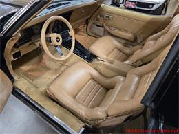 1981 Chevrolet Corvette (CC-2066476) for sale in MARTINSBURG, Pennsylvania