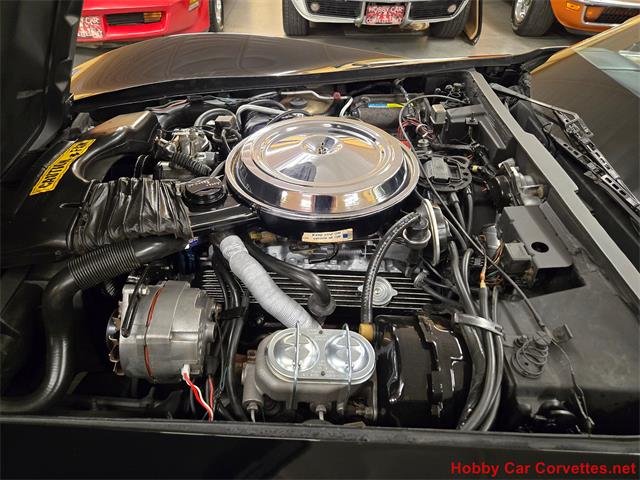 1981 Chevrolet Corvette (CC-2066476) for sale in MARTINSBURG, Pennsylvania