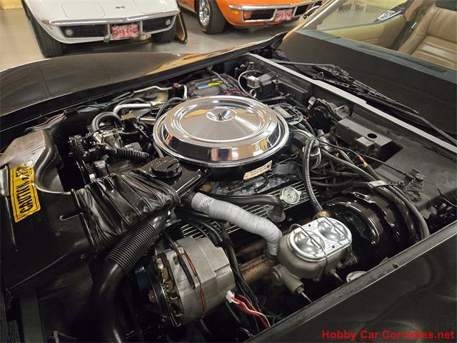 1981 Chevrolet Corvette (CC-2066476) for sale in MARTINSBURG, Pennsylvania