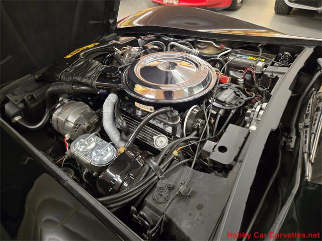 1981 Chevrolet Corvette (CC-2066476) for sale in MARTINSBURG, Pennsylvania