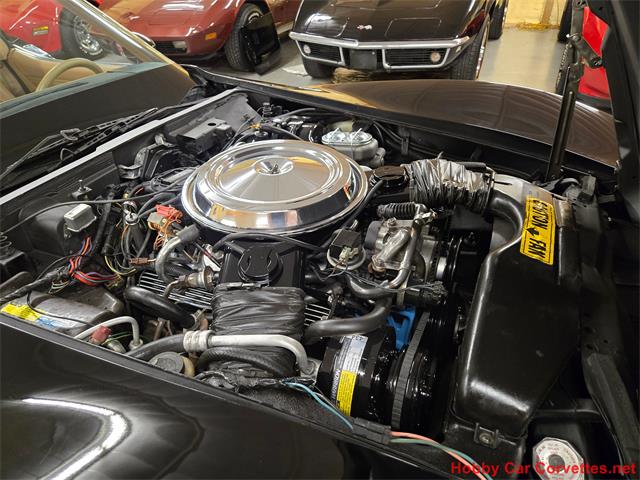 1981 Chevrolet Corvette (CC-2066476) for sale in MARTINSBURG, Pennsylvania