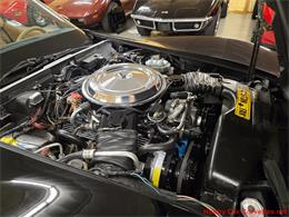 1981 Chevrolet Corvette (CC-2066476) for sale in MARTINSBURG, Pennsylvania