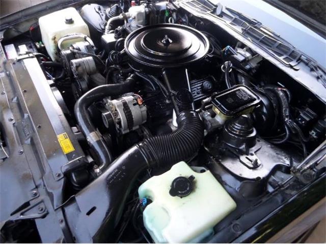 1989 Chevrolet Camaro (CC-2066518) for sale in Cadillac, Michigan