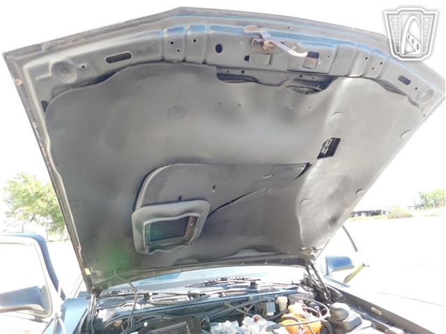 1987 Ford Thunderbird (CC-2066543) for sale in Ruskin, Florida