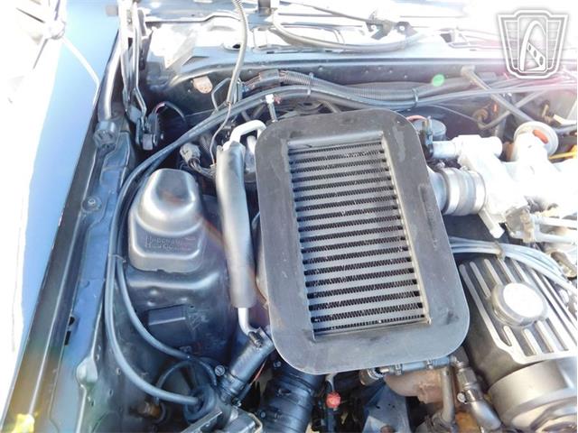 1987 Ford Thunderbird (CC-2066543) for sale in Ruskin, Florida