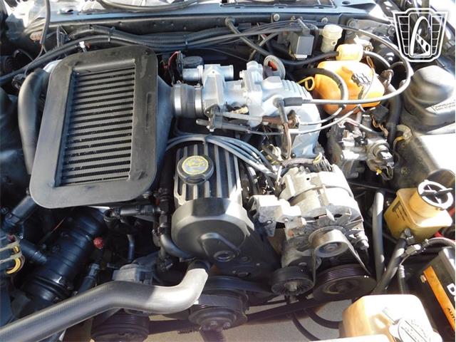 1987 Ford Thunderbird (CC-2066543) for sale in Ruskin, Florida