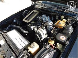 1987 Ford Thunderbird (CC-2066543) for sale in Ruskin, Florida