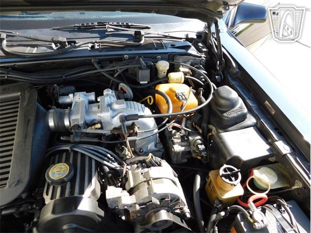 1987 Ford Thunderbird (CC-2066543) for sale in Ruskin, Florida