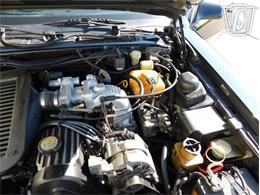 1987 Ford Thunderbird (CC-2066543) for sale in Ruskin, Florida