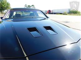 1987 Ford Thunderbird (CC-2066543) for sale in Ruskin, Florida