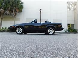 1981 Triumph TR7 (CC-2066545) for sale in Ruskin, Florida