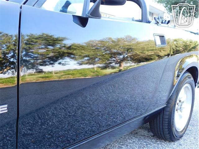 1981 Triumph TR7 (CC-2066545) for sale in Ruskin, Florida