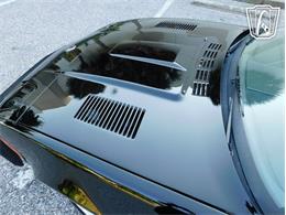 1981 Triumph TR7 (CC-2066545) for sale in Ruskin, Florida