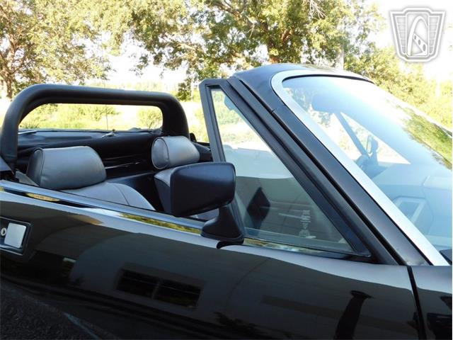 1981 Triumph TR7 (CC-2066545) for sale in Ruskin, Florida