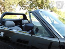 1981 Triumph TR7 (CC-2066545) for sale in Ruskin, Florida