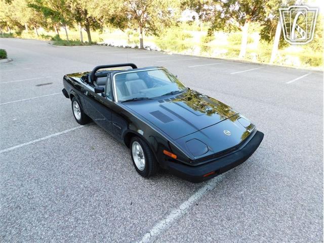 1981 Triumph TR7 (CC-2066545) for sale in Ruskin, Florida