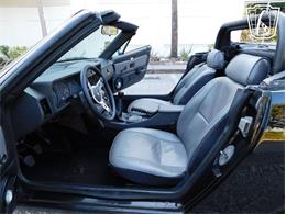 1981 Triumph TR7 (CC-2066545) for sale in Ruskin, Florida