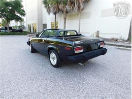1981 Triumph TR7 (CC-2066545) for sale in Ruskin, Florida