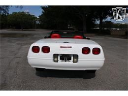 1995 Chevrolet Corvette (CC-2066566) for sale in Lake Mary, Florida