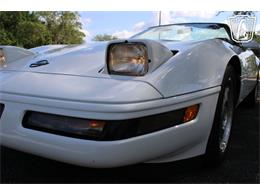1995 Chevrolet Corvette (CC-2066566) for sale in Lake Mary, Florida