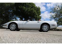 1995 Chevrolet Corvette (CC-2066566) for sale in Lake Mary, Florida