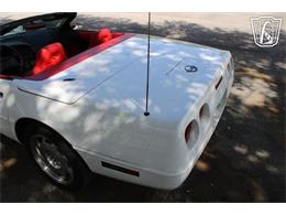 1995 Chevrolet Corvette (CC-2066566) for sale in Lake Mary, Florida
