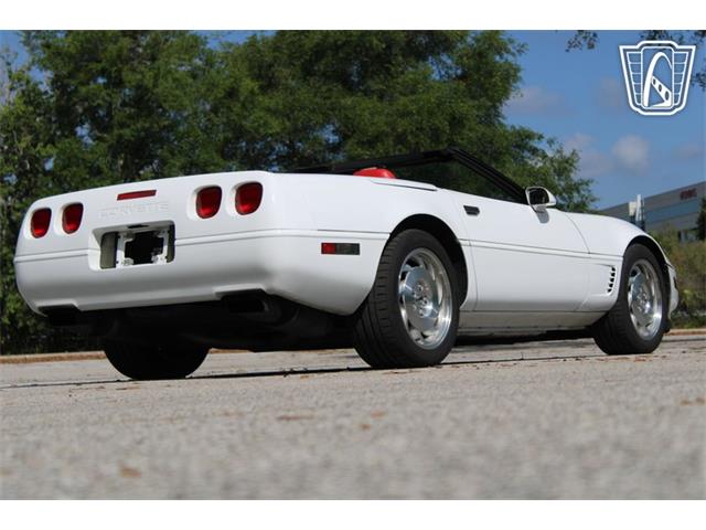 1995 Chevrolet Corvette (CC-2066566) for sale in Lake Mary, Florida