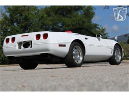 1995 Chevrolet Corvette (CC-2066566) for sale in Lake Mary, Florida