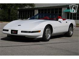 1995 Chevrolet Corvette (CC-2066566) for sale in Lake Mary, Florida
