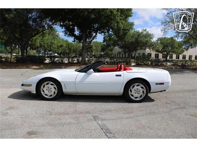 1995 Chevrolet Corvette (CC-2066566) for sale in Lake Mary, Florida